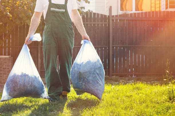 Best Junk Removal Near Me  in Springfield, NJ