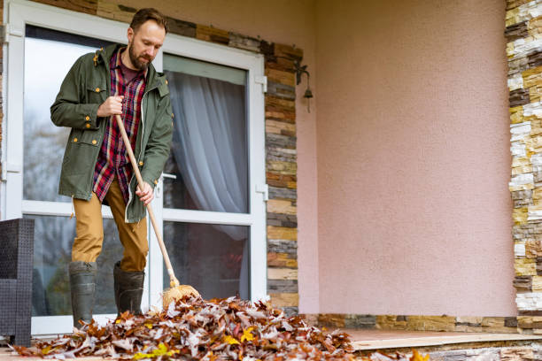 Trash Removal Near Me in Springfield, NJ