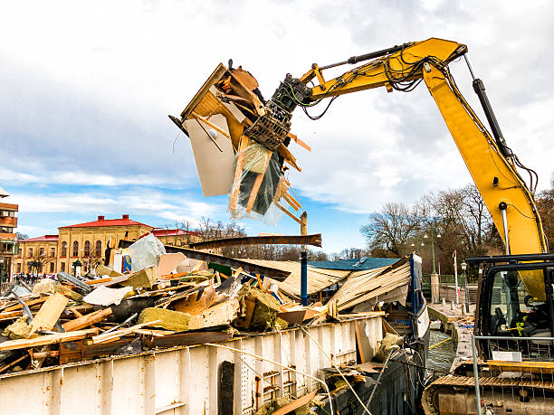 Best Yard Cleanup Services  in Springfield, NJ
